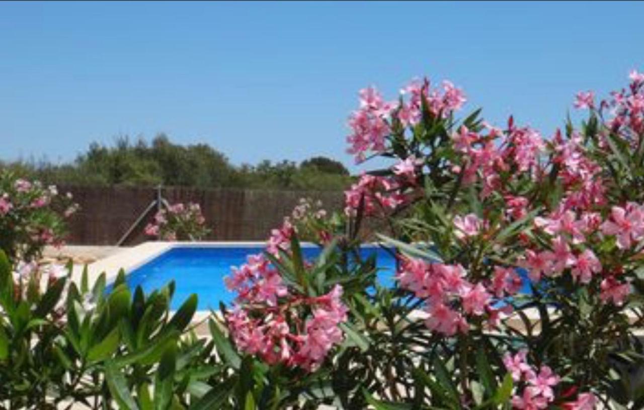 Casa Luz Solar - Schoene Finca In Strandnaehe, Privatpool, Klimaanlage, Wifi 산타니 외부 사진